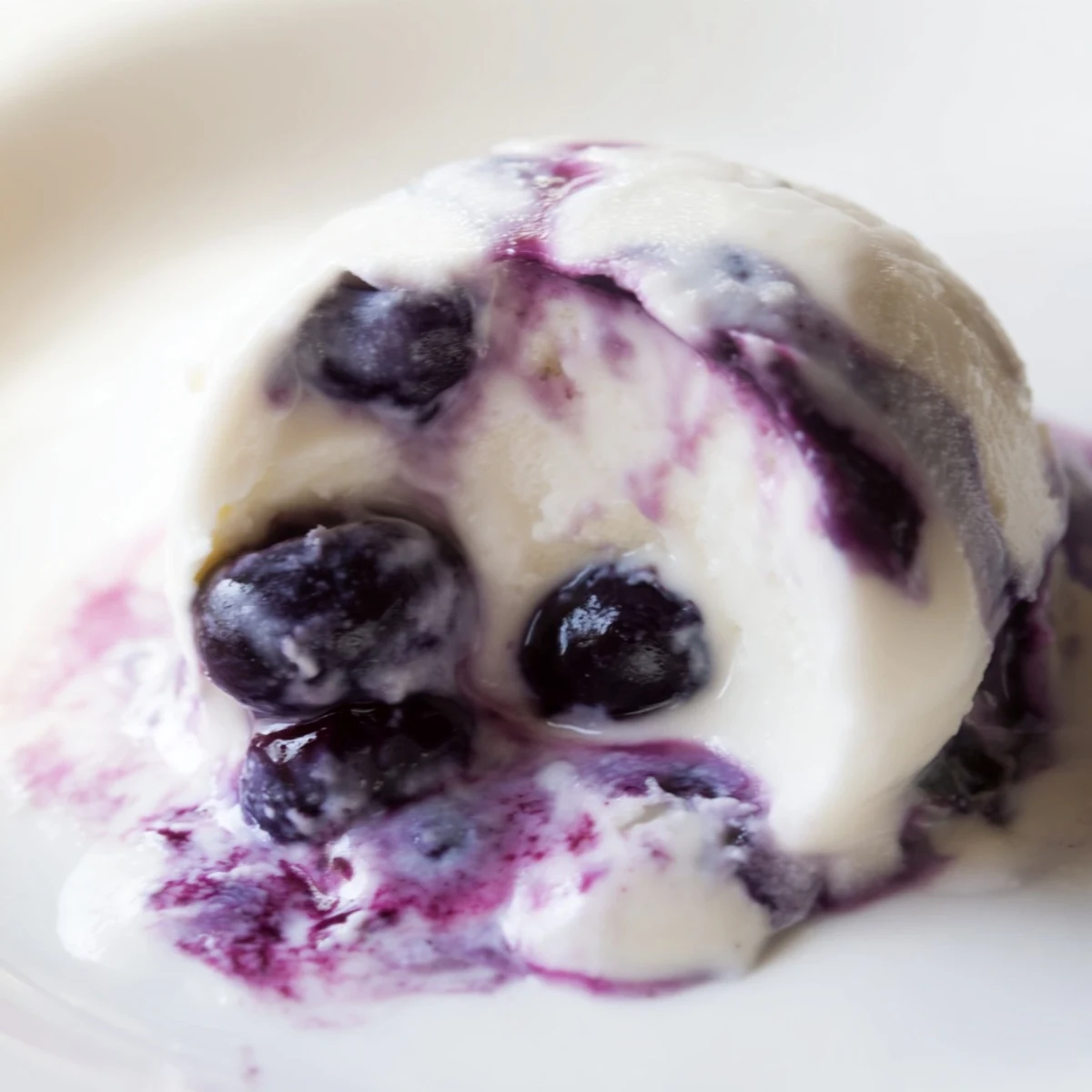 Creamy blueberry swirl yogurt bites arranged on a white plate with fresh blueberry garnish